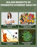 Probiotic Synergy Daily DF – Gut & Immune Health Support | RetzlerRx®